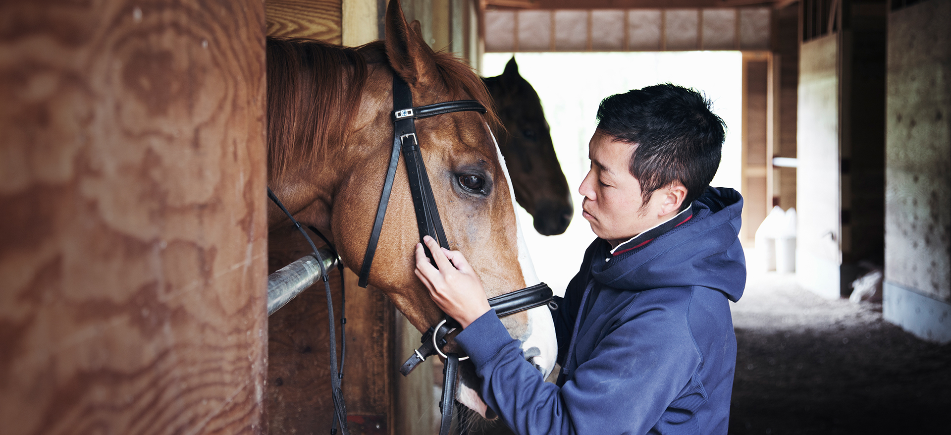 Man with horse