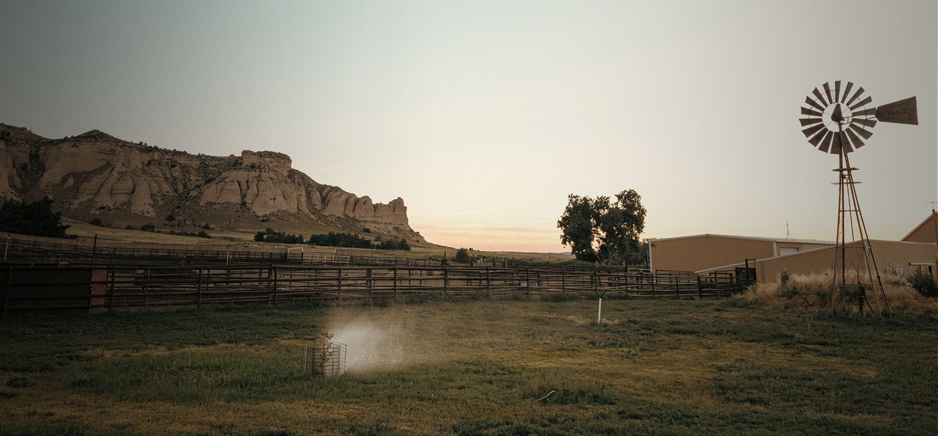 Beef cattle farm - Zoetis