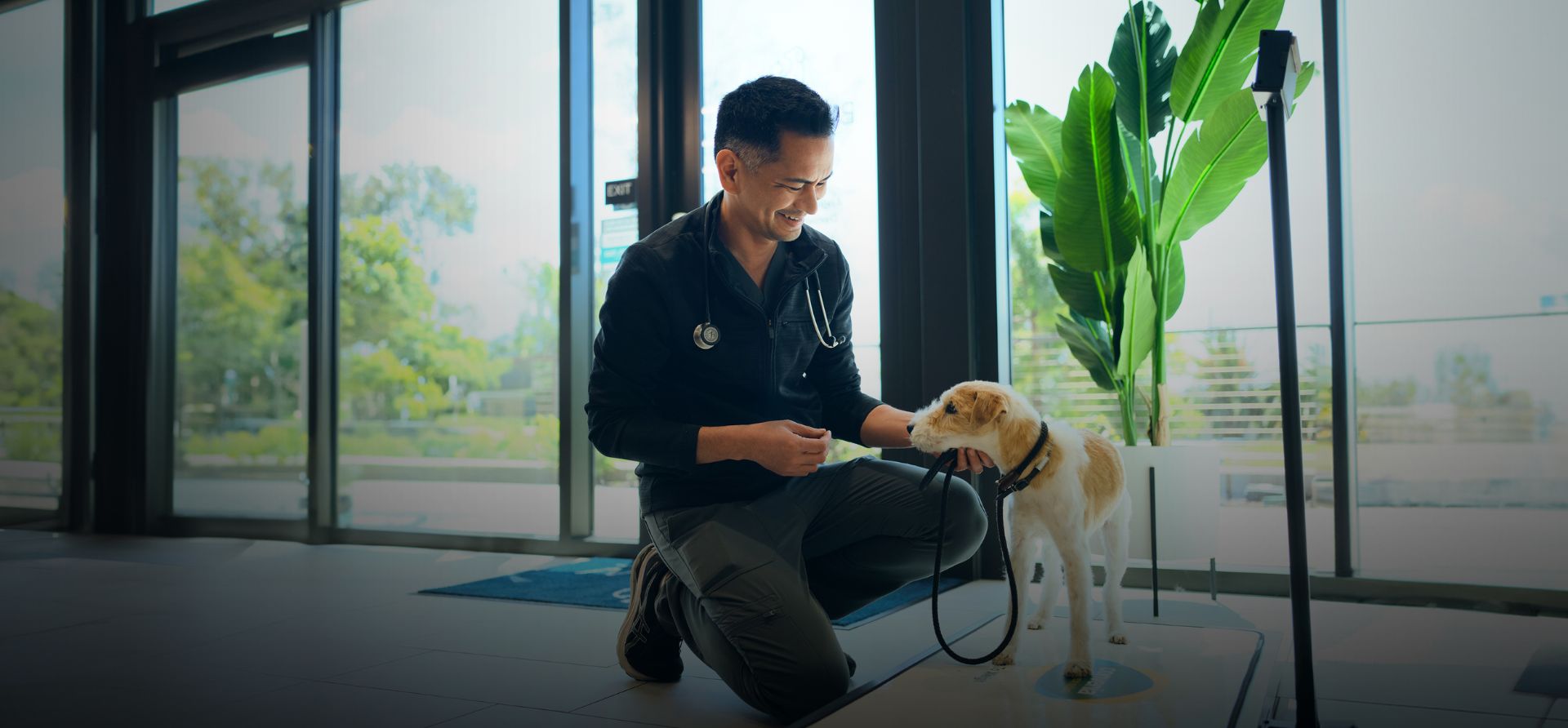 Veterinarian with dog - Zoetis