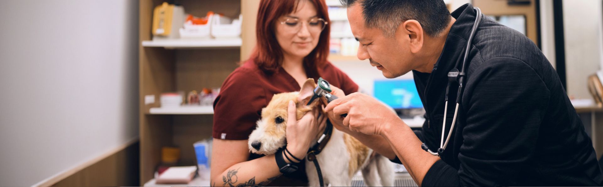 Vet and vet tech with a dog in clinic - Zoetis